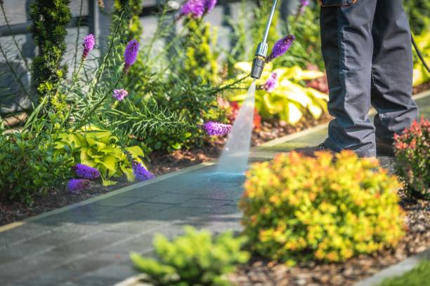 Winterizing Services in Ester, AK