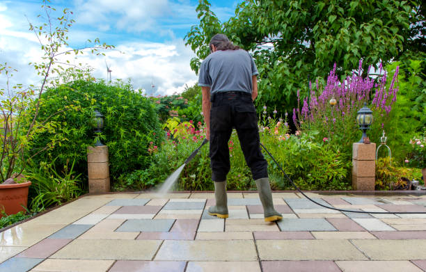 Best Fence Cleaning  in Ester, AK