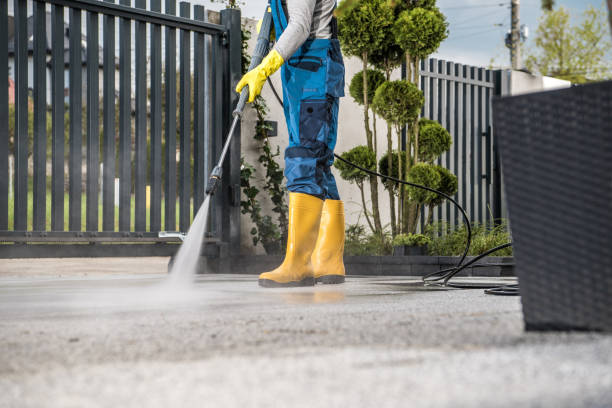 Best Fence Cleaning  in Ester, AK