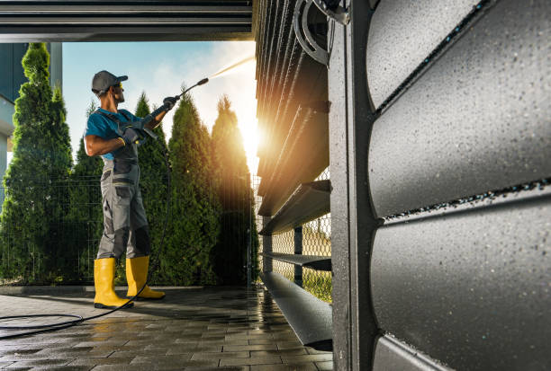 Best Driveway Pressure Washing  in Ester, AK