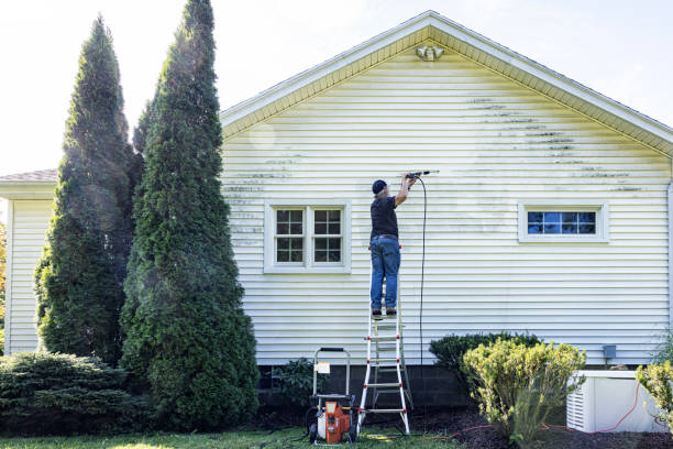 Boat and Dock Cleaning in Ester, AK