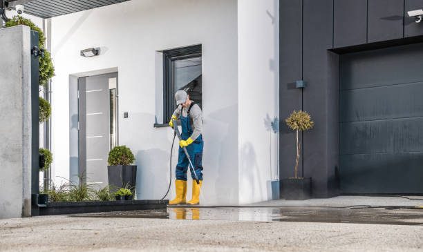 Best Gutter Cleaning  in Ester, AK